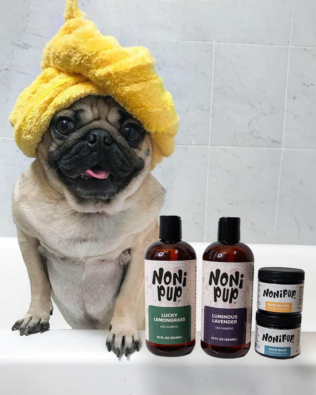 itsdougthepugさんのインスタグラム写真 - (itsdougthepugInstagram)「“Me all Labor Day weekend” -Doug  Doug is having a SALE all weekend! All @nonipup products are 15% off with code “LABORDAY” at www.nonipup.com  Now your dog can be comfy, chill and allergy free like Doug and his friends!」9月1日 23時55分 - itsdougthepug