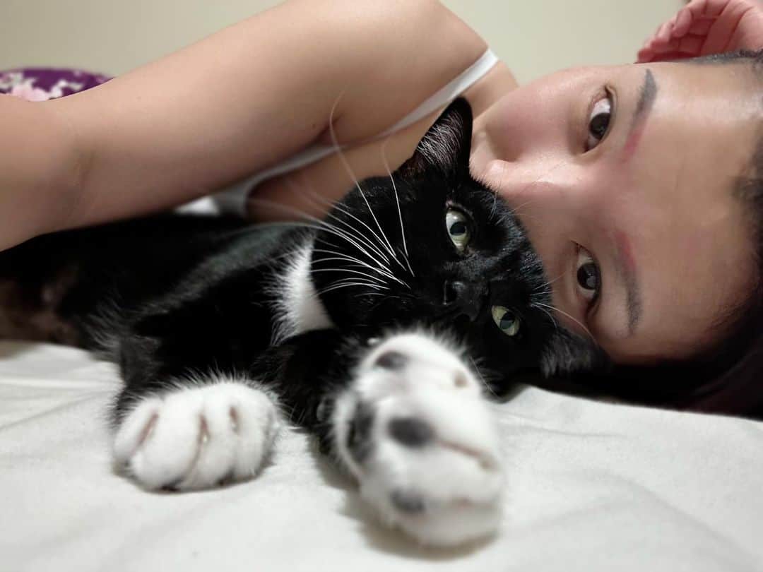 志田光のインスタグラム：「ねこ。かわいい。 #hikarushida #lfewithcats」