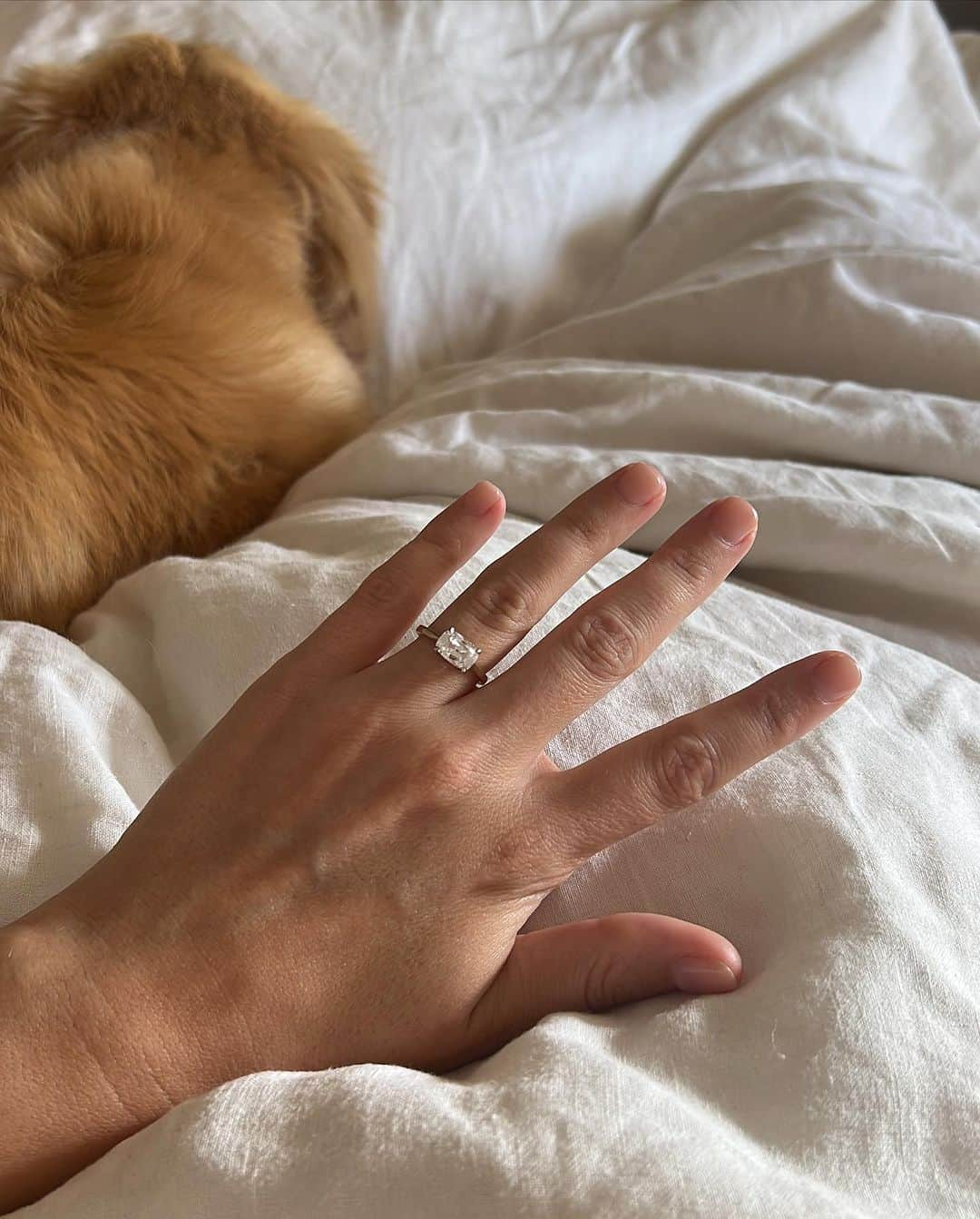 Estée Lalondeさんのインスタグラム写真 - (Estée LalondeInstagram)「Your girl is engaged 💍🥹😭💞」9月2日 1時11分 - esteelalonde