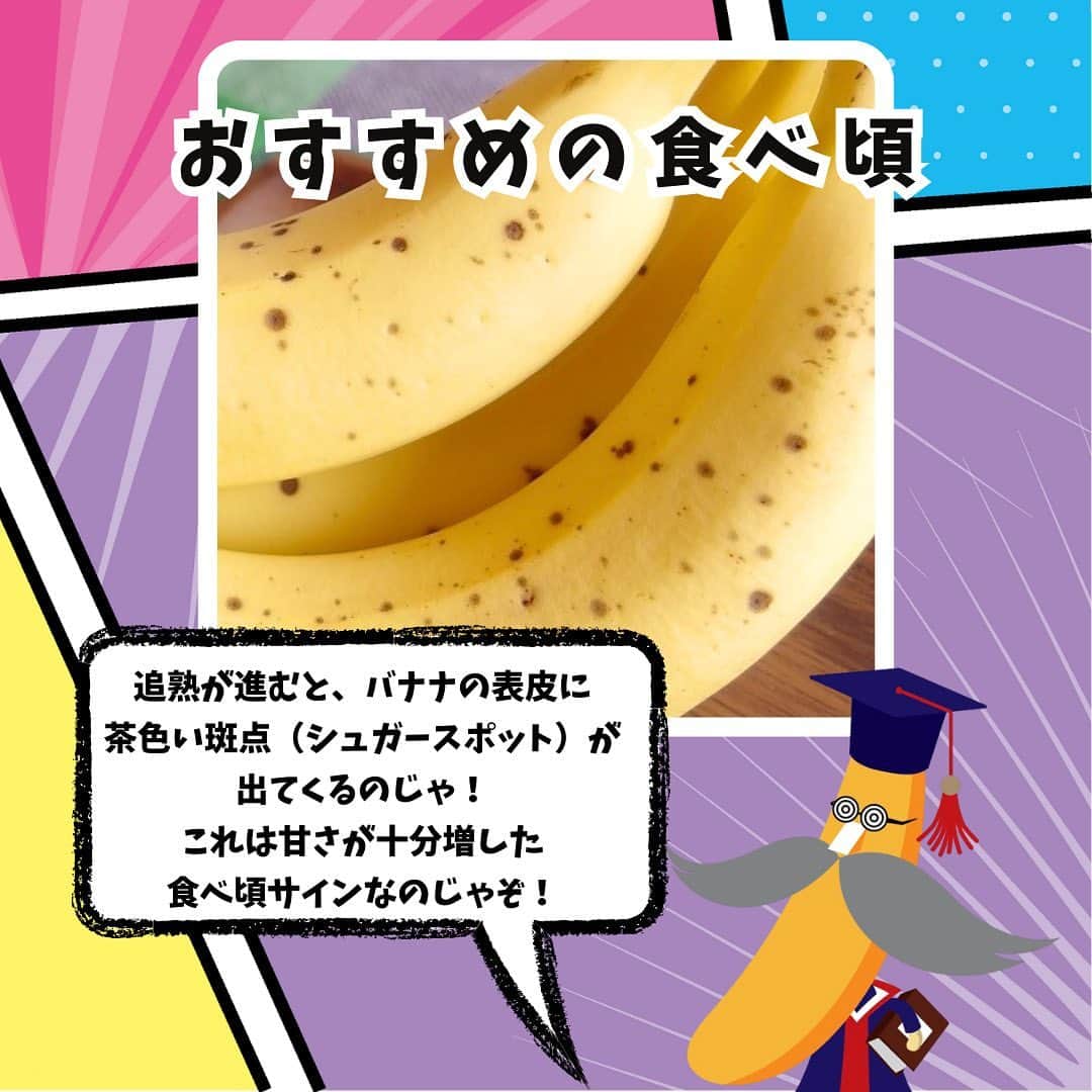 Sumifruさんのインスタグラム写真 - (SumifruInstagram)「【スミフルのバナナが届くまで🍌～追熟編～】  バナナが食卓に届くまでを3回シリーズで紹介する「スミフルのバナナが届くまで」。第3回は「追熟編」です！ 鮮度を保ち、日本まで運ばれてきた青いバナナを「美味しく食べられる」ように仕上げるとっても大切な工程が「追熟」です🍌💛  追熟を行う場所は、国内各地（主にバナナ専用船が到着する主要港の近く）にある「バナナ専用加工室（むろ）」です🏭 この加工室で約6〜8日間かけてバナナを食べ頃まで熟成させて美味しさを引き出します🍌 バナナを室に入れた後、「エチレンガス」を投入し、眠っていたバナナを起こしてから温度・湿度を細かく調整・管理して、熟成を進ませていくのです☀️ そして、みなさんにとってお馴染みの黄色く美味しいバナナになるんです🌟  ぜひ、店頭でバナナを購入する際、今回3回のシリーズでご紹介した、産地から店頭にやってくるまでのバナナの旅を思い出してみてくださいね！  知ってる❓豆知識💭 おすすめの食べ頃は皮にシュガースポットという茶色い斑点が出てきた頃⏰ バナナの甘みがピークを迎えて美味しくいただくことができます✨ りんごもエチレンを放出するので、買ってきた青めのバナナを早く熟成させたいときは、りんごと一緒に袋に入れておくと追熟が進みやすくなりますよ🍎🍏  #バナナ #豆知識 #雑学 #高地栽培 #フルーツ #南国フルーツ #追熟 #シュガースポット #栄養 #甘熟王ゴールドプレミアム #甘熟王 #バナナはスミフル」9月1日 18時30分 - sumifru_banana