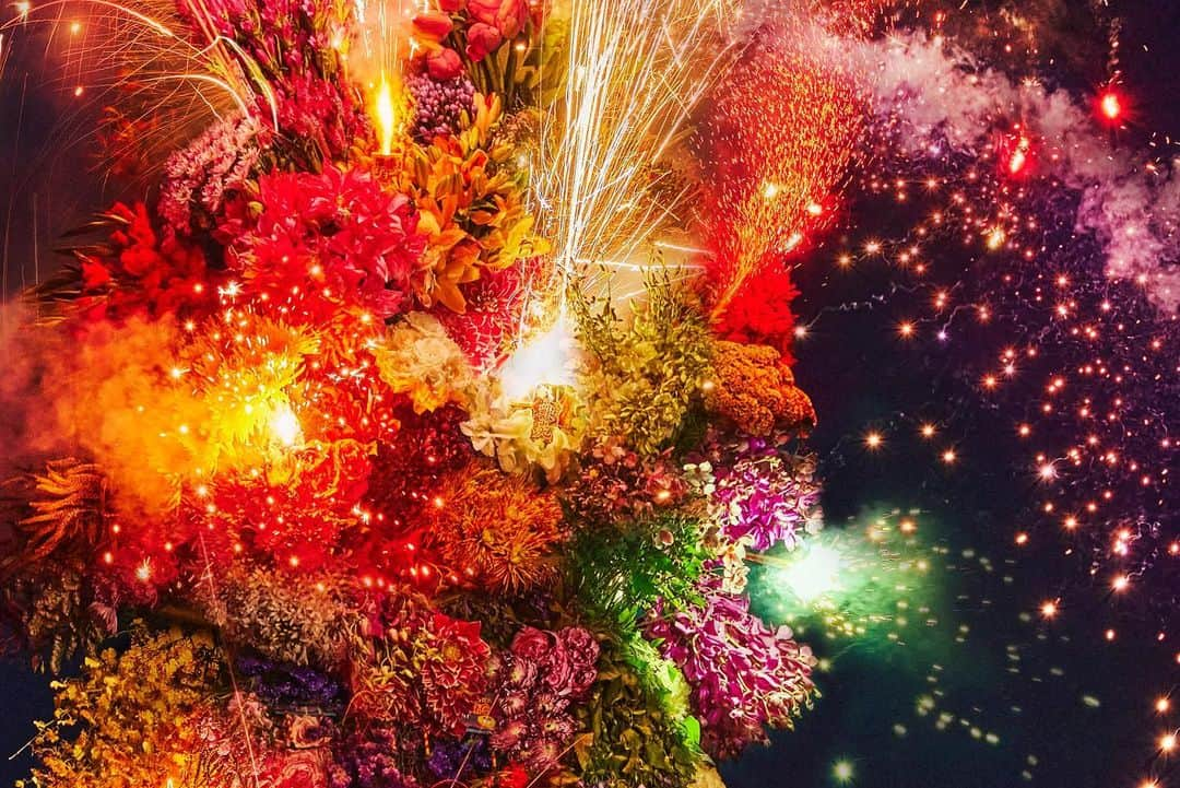 椎木俊介さんのインスタグラム写真 - (椎木俊介Instagram)「Botanical Sculpture “HANABI”  Date : August, 2023 Location: Japan  #azumamakoto  #shiinokishunsuke  #amkk #東信 #東信花樹研究所 #botanicalsculpture #hanabi #花火」9月1日 16時30分 - shiinokishunsuke