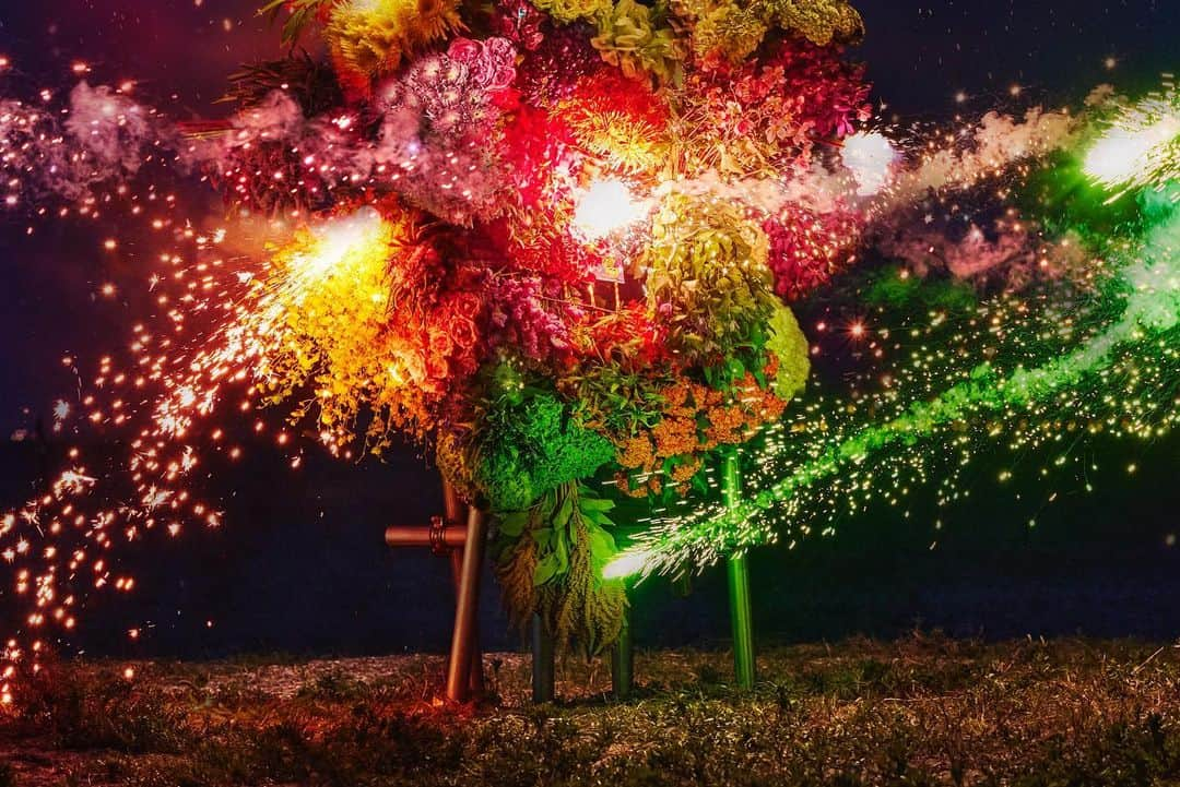 椎木俊介さんのインスタグラム写真 - (椎木俊介Instagram)「Botanical Sculpture “HANABI”  Date : August, 2023 Location: Japan  #azumamakoto  #shiinokishunsuke  #amkk #東信 #東信花樹研究所 #botanicalsculpture #hanabi #花火」9月1日 16時30分 - shiinokishunsuke