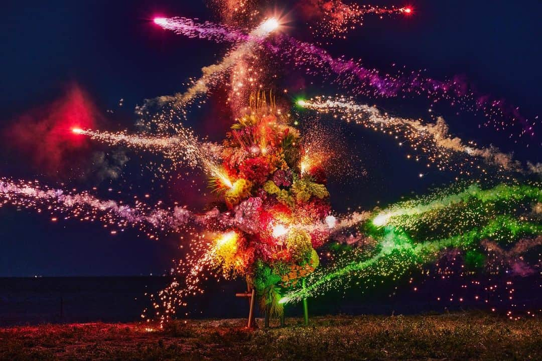 椎木俊介のインスタグラム：「Botanical Sculpture “HANABI”  Date : August, 2023 Location: Japan  #azumamakoto  #shiinokishunsuke  #amkk #東信 #東信花樹研究所 #botanicalsculpture #hanabi #花火」