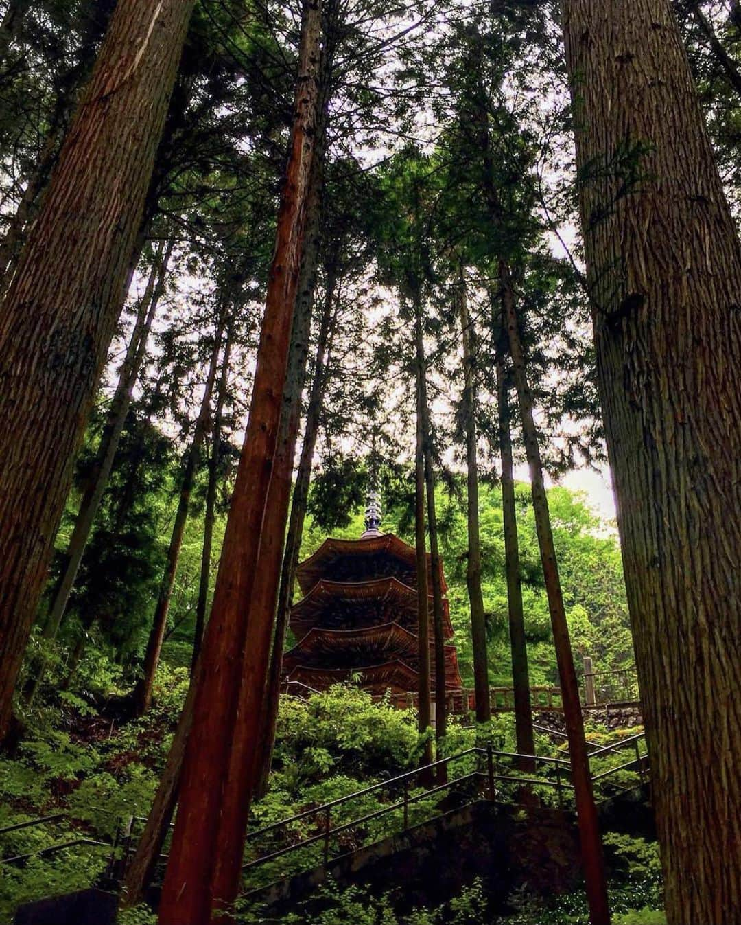 ?長野県 観光 公式インスタグラム さんのインスタグラム写真 - (?長野県 観光 公式インスタグラム Instagram)「// Photo by @saitomokiti  The Eight-sided Pagoda of Anrakuji Temple (Ueda City)  Anrakuji Temple is one of the oldest Rinzai Zen Buddhist temples in Japan.   Behind the main hall in the woods is an eight-sided wooden pagoda, a precious, one-of-a-kind structure and the first of Nagano’s five national treasures.  Standing on these tranquil temple grounds, the pagoda gives off an air of dignity and grace.  ＝＝＝＝＝＝＝＝＝  国内唯一の木造八角塔 「安楽寺　八角三重塔」　 ＠上田市  国内最古の臨済禅宗寺院の一つ「安楽寺」  その境内にある「八角三重塔」は 木造の八角塔としては 全国に一つしかない貴重な建築で 長野県では一番早く“国宝”に指定されました👀✨️  静寂が広がる境内に凛として佇む姿からは 威厳と風格も伝わってきます😀✨️  ＿＿＿＿＿＿＿＿＿　  Location / Ueda City ,  Nagawa TownNagano , Japan   #anrakuji #temple #uedacity #長野のいいところ ＿＿＿＿＿＿＿＿＿  📷インスタアワード作品募集中📷  #長野の駅物語夏 撮影場所(長野県内に限ります) をキャプションに入れて 応募期間（7/28～9/30）に投稿してください。 優秀作品に選ばれると 長野県特産品セットをプレゼント🎁」9月1日 17時13分 - nagano_japan