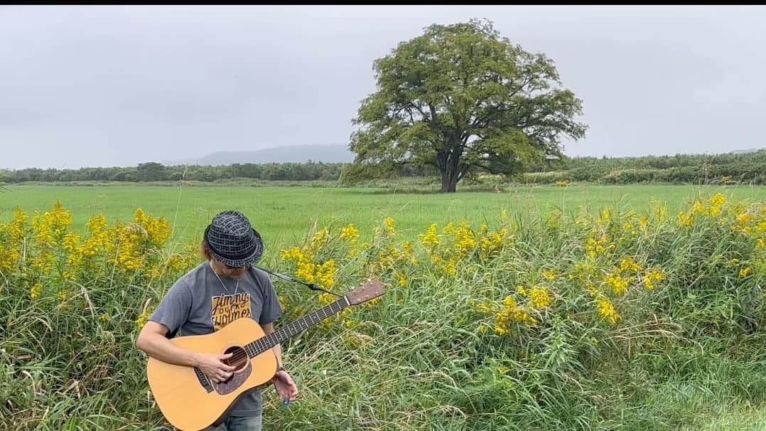 菊田俊介のインスタグラム：「Acoustic blues in nature.」