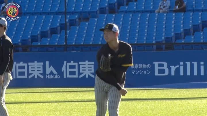 阪神タイガースのインスタグラム