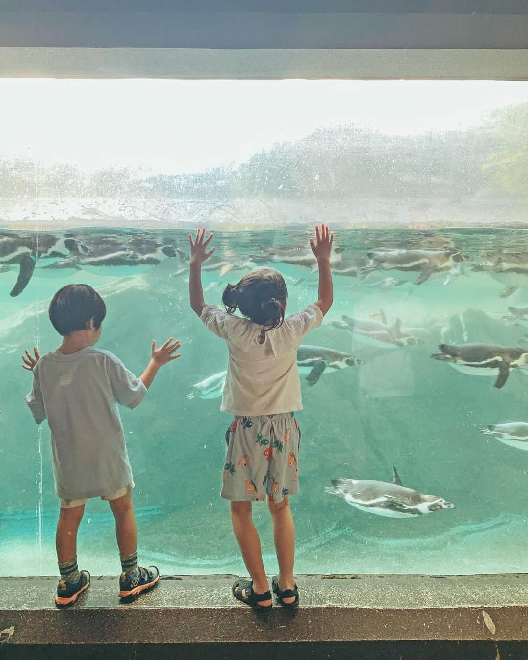 むらたさきさんのインスタグラム写真 - (むらたさきInstagram)「🦧🦧 ． 夏休みの思い出② ． まゆし親子とズーラシアのナイトズーへ🌳🦒🦓 @mayuyapon  ． 夕方前から入園して順々に巡りながら 途中のアスレチックコーナーで日暮れまで遊んで、、 最後までたどり着かぬままタイムリミットを迎えました🙌😂爆 (予想通り🛝👌🤣) ． 母たちもあれやこれや話せて、 (後半はVIVANTで持ちきり🗣️📺🐪) 夕飯もみんなで食べて、 たっぷり遊んで楽しい1日でした♡♡ ． ． 2人とも、 @midorinotent のAwning Hat🧢 まゆしはカーキ🌳わたしはベージュ⛰️ ． ． ． 平成に発売された CDのジャケットにありそうなユニット感🫶🤣　 (3枚目) 🎤😉☺️🎸🎼笑 ． オカピのベンチ🪑🦦 (6枚目) ． ． ． 7枚目〜は去年のナイトズー📷✨ ． ストーリーズに載せたっきりだったので、 時を超えて、まとめて記録✍️😉🦒 ． ． ． ． ． ． 長〜〜〜かった夏休みが、ようやく終わった〜🍉☺️ ． ラスト2日で自由研究に奮闘して、 なんとか無事に締めくくれました🎨✌️😂✂️ ． (大物最後に残すのヤメテ〜🤣) ． ． ． ． ． ． ． ． ． ． ． ． ． #10歳 #7歳 #3歳 #もうすぐ4歳 #三兄弟ママ ． #ズーラシア #こどもとおでかけ #夏休みの思い出」9月1日 18時03分 - muratasaki