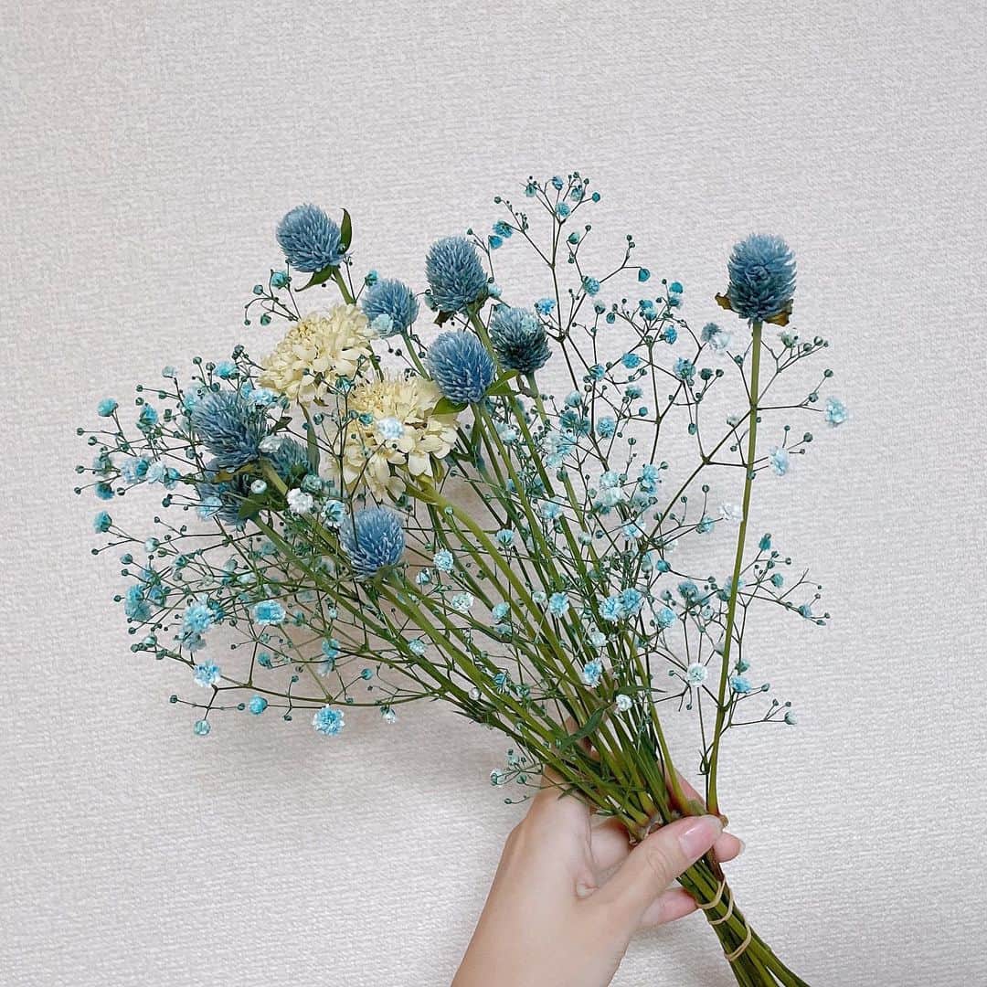 塩野響子のインスタグラム：「⠀一目惚れして購入💙🤍💙🤍」