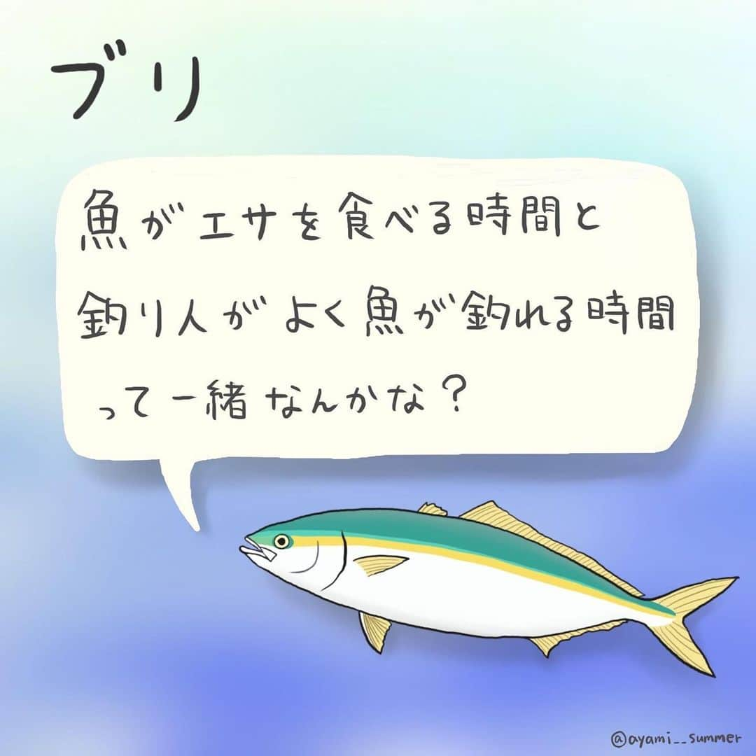 高本采実さんのインスタグラム写真 - (高本采実Instagram)「🐟  ／ 新連載企画 『みんなで作ろう 4コマ水産学』がスタート！ ＼  釣果を記録し、釣り人同士で共有できる無料の魚釣りアプリ「アングラーズ」 @anglers_jp にて、新連載「みんなで作ろう 4コマ水産学」がスタートしました✨  魚図鑑にも載っていない、釣り人だけが知っている魚の生態をみなさんと一緒に解明していきます。  作品の「オチ」は釣り人のみなさんのコメントによって決定🔥  投稿してくださった方の中から抽選で「サイン入りアングラーズステッカー」をプレゼントします！  第1回目は「ブリ」 研究結果と釣り人の経験はどれくらい同じなのか！？🫣  ■参加方法 ①無料アプリ「アングラーズ」をインストールして ②アングラーズアプリ内のAyami【高本采実】の釣りトークにコメントして参加完了！ （釣りトークのリンクはハイライト「みんなで作ろう4コマ水産学」から飛べます）  みなさんのご参加お待ちしてます☺︎🤍  ■期間 9/4まで  ■ご注意 ※当選者の方にはアプリ通知で連絡致します。7日間ご連絡がない場合には取り消しとなり、再抽選となります。  #アングラーズ #4コマ水産学 #みんなで作ろう4コマ水産学 #ブリ #ハマチ #メジロ #魚イラスト #海釣り #魚好き  #釣果 #釣り好き #大物ハンター #アングラー #fishinggirl #钓鱼 #高本采実 #あやみん #ayamistagram」9月1日 19時32分 - ayami__summer