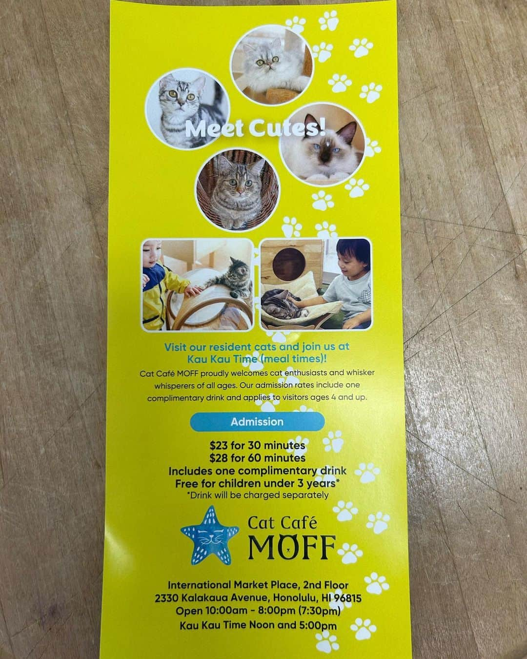 飯島寛子さんのインスタグラム写真 - (飯島寛子Instagram)「猫好きが集まる交流の場 9/1  Cat cafe  Moff 海外1号店オープン！@internationalmarketplc 2階 10:00am-8:00pm　  猫の生態を正しく理解した飼育員が在籍、ハワイアンネームがついた可愛い猫たちと触れ合うことができます。  また、正午と5時のカウカウタイムでは、猫の食事風景を楽しむことができますよ。 猫とふれあう癒しの時間になりますね。  @alwaysa.line (私の洋服) #スタジオリム公開収録 #studiorimhawaii#リスナーさん　#ラジオのお仕事　#逢いたかったハワイ #ハワイのラジオ　#人と出逢える場所 #hawaiilife #ハワイ #alwaysaline」9月1日 20時03分 - hirokoiijima