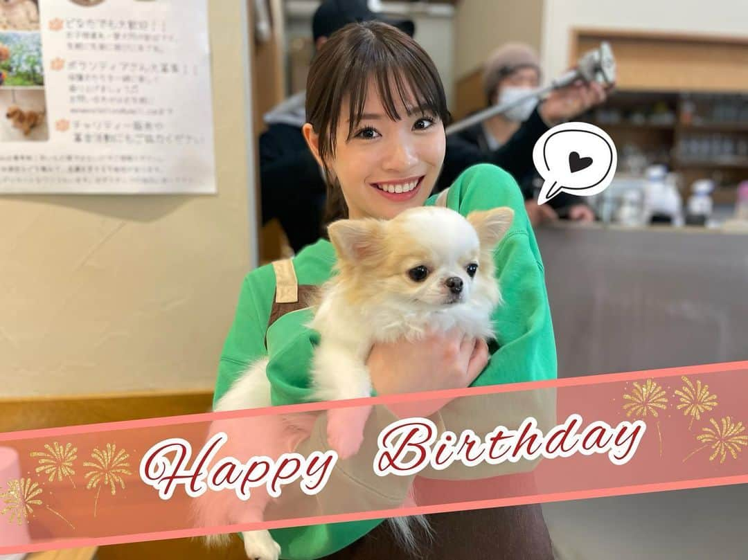 シッコウ!!〜犬と私と執行官〜さんのインスタグラム写真 - (シッコウ!!〜犬と私と執行官〜Instagram)「🍾 ︎⸜❤︎⸝‍𓂃𓈒𓏸𝙷𝚊𝚙𝚙𝚢 𝙱𝚒𝚛𝚝𝚑𝚍𝚊𝚢𓂃𓈒𓏸🧸 ⁡ 本日！9月1日は… ⁡ トリマーの雪乃ちゃんを演じてくださっている、#中川紅葉 さんのお誕生日🎂✨ ⁡ さらに笑顔があふれる1年になりますように…🥂🤍 おめでとうございます💐 ⁡ #シッコウ!!もいよいよ最終章突入！ 第8話は9/5(火)よる9時からです🐾 ⁡ #HappyBirthday」9月1日 20時25分 - shikkou_tvasahi