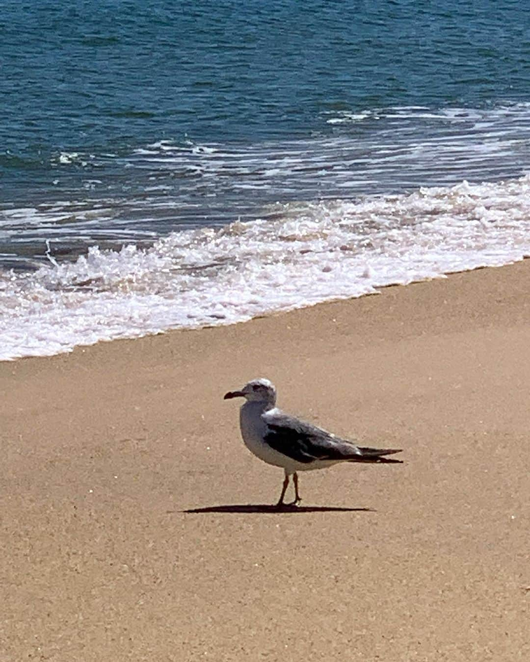 ペク・ミニョンさんのインスタグラム写真 - (ペク・ミニョンInstagram)「🐦」9月1日 20時25分 - minhyun_112