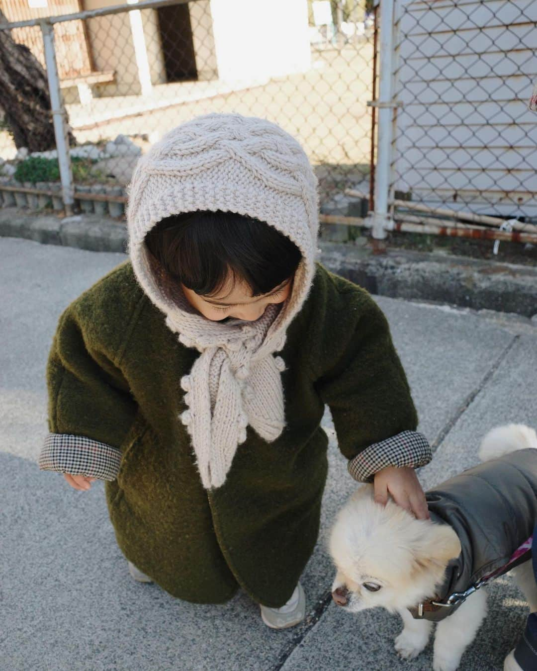 ちょびさんのインスタグラム写真 - (ちょびInstagram)「愛しくて、大切で大好きなこつぶ🐶🤍出会ってくれて、みんなのところに来てくれてありがとう🤍 たくさん幸せをありがとう🤍 よく頑張った！！！  愛された犬は来世で風となり あなたの日々を何度も撫でる  フォロワーさんが教えてくれた短歌🐶温かくて大切な言葉🌈  #すべてわたしの愛しい記憶」9月1日 20時20分 - kaoriririn15