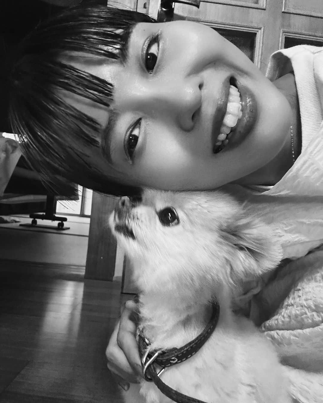 ちょびさんのインスタグラム写真 - (ちょびInstagram)「愛しくて、大切で大好きなこつぶ🐶🤍出会ってくれて、みんなのところに来てくれてありがとう🤍 たくさん幸せをありがとう🤍 よく頑張った！！！  愛された犬は来世で風となり あなたの日々を何度も撫でる  フォロワーさんが教えてくれた短歌🐶温かくて大切な言葉🌈  #すべてわたしの愛しい記憶」9月1日 20時20分 - kaoriririn15