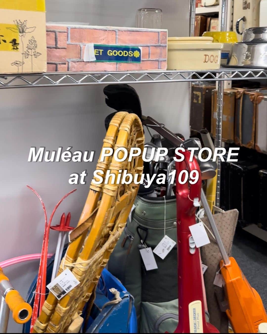 鈴本美愉のインスタグラム：「@muleau_official  9/29(金)〜10/1(日)の3日間 Shibuya109にてPOPUP STOREの開催が決まりました🫶  今回は1人1人にポストカードにサインを書いてお渡しするアピアランスイベント、一緒にコーディネートを考える来店イベントがございます🥳  イベント中以外は終日店頭にいるのでぜひ気軽に遊びにきてね🐒🐒 (店頭にいる時間帯は3枚目の画像の通りです!)  毎日開店から1時間は入店チケットが無いと入れないのでご注意ください！ 入店チケットは9/8(金) 20:00〜販売スタートします✨ アピアランスイベントが先着順なのでぜひ利用してね✌︎  POPUPで発売のアイテムは秋物新作となります! アイテムは順次公開されますのでお楽しみに🍂  試着や、実際にお洋服が見れる貴重な機会となります🪡 皆さまにお会いできるのを楽しみにしていますー！」