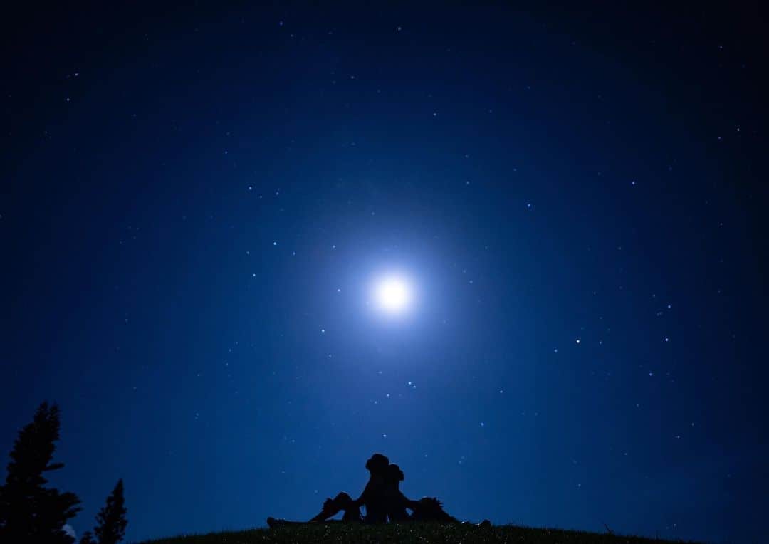 三上絵梨華さんのインスタグラム写真 - (三上絵梨華Instagram)「星空フォト💫 綺麗すぎるし幻想的すぎる  #星空フォト #星空 #月 #満月 #夜空 #宮古島 #沖縄  #歌舞伎町 #キャバ嬢 #キャバクラ #美人茶屋 #美神絵梨華 #ショートカット #金髪 #ギャル」9月1日 20時45分 - erikasamaaaaa