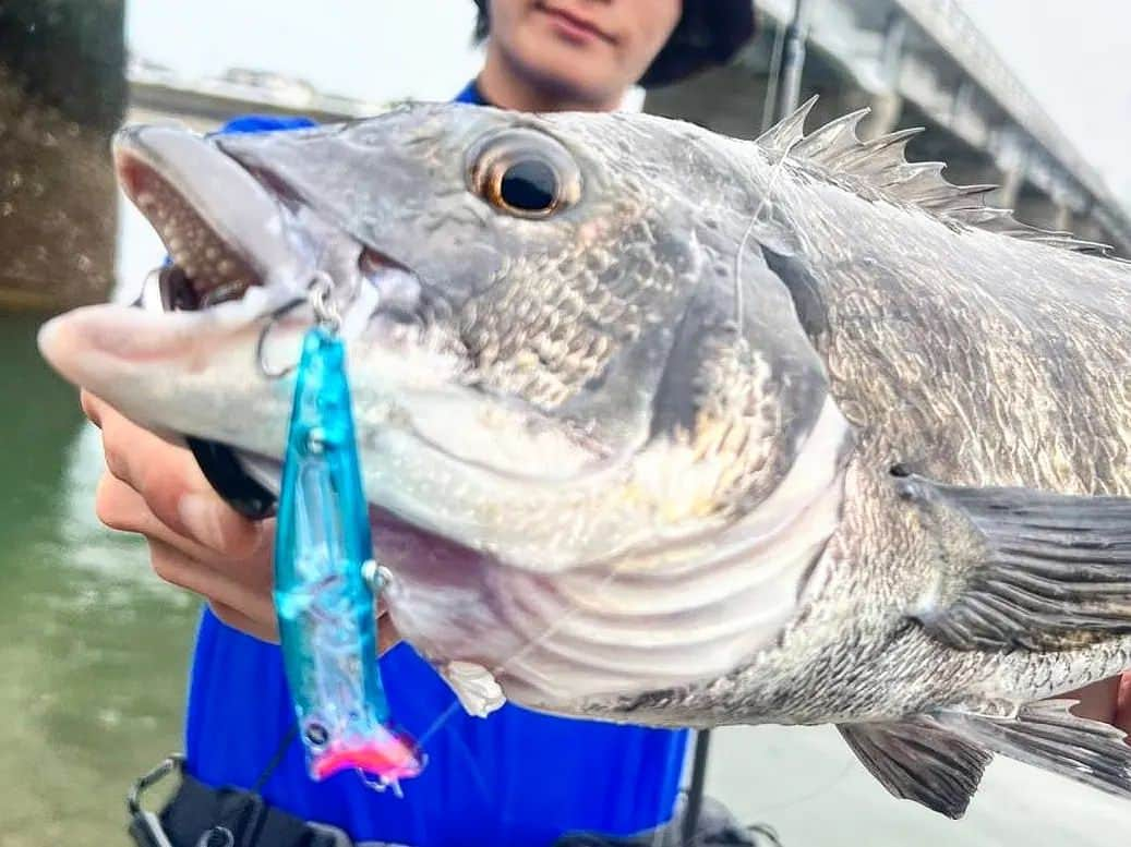 外山将平さんのインスタグラム写真 - (外山将平Instagram)「真夏のチヌトップゲーム！　　　　　　　　　 釣れない時間が長いからこそ釣れたときの喜びはいつも以上におおきい。　　　　　 久しぶりに震えた…､､また一つ引き出しが増えました。　　　　　　　　　　　　　 　　　　　　　　　　　　 8月の最終日に夏を感じてきましたよ🎐　　　　　 この模様はBS釣りビジョン9月13日オンエア「海と青の物語」にて🐟　　　　　　　　　　　　　　　　 　　　　　　　　　　　　　　 #BlueBlue #アングラーズマイスター　　　　　　　　　　　　　　　　　　　　　　　　　　　　　　　 #ガボッツ #ガボッツ65　　　　　　　　　　　　　　　　　　　　　　　　　　　　　　 #ブルーブルー　　　　　　　　　　　　　　　　　 #钓鱼 #每日穿搭 #시바스 #농어　　　　　　　　 　　　　　　　　　　　　　　　　　　　 　　　　　　　　　　　　　　　　　　　　　　　　　　　　　　　　　　　　　　　　　　　  ◆釣りにかかわらず､出たゴミは持ち帰りましょう！ 一人一人の意識で自然は守れます。 釣り場､自然を大切に🐟　　　　　　　　　　　　　　　　  ◆キャスト時は必ず後方確認をして ルアーや針が歩行者､同行者に当たらないようにしましょう。　　　　 　　　　　　　　　　　　　　　　　　　　　　　　　　　　　　 ◆釣りの際はライフジャケット着用をお願い致します。　　　　　　　 命を守りましょう！　　　　　　　　　　　　　　　　　　　　　　　　　　　　　　　　　　 　　　　　　　　　　　　　　　　　　　　　　　　　　　　　　　　　　　　　 ◆YouTube⇩(始めました！チャンネル登録お願いします！) https://youtube.com/channel/UC07x3DbJCNv_gAFvAjaWQMQ　　　　　　　 　　　　　　　　　　　　　　　　　　　　　  ◆アングラーズ↓🎣 外山将平 https://anglers.jp/users/530231 こちらもチェックお願い致します🐟　　　　　　　  ◆Twitter↓ https://mobile.twitter.com/syohei_1108 こちらもフォロー宜しくお願い致します！🙇‍♂　　　　　 　　　　　　　　　　　　　　　　　　　　　　　　　　　　　　　　　　　　　　　　　　　　　　　　　　　　　　　　　　　　　　　　　　 　　　　　　　　　　　　　　　　　　　　　　　　　　　　 #今日の外山 #俳優 #外山将平  #釣り好きな人と繋がりたい #釣りスタグラム #シーバス #東京湾奥 #釣りの成長記録 #釣りで人生を豊かに  #fishing #lure #bass #fish #fishinglife #bigfish  #instafish  #bassfishing #seabass」9月1日 20時46分 - syohei_toyama