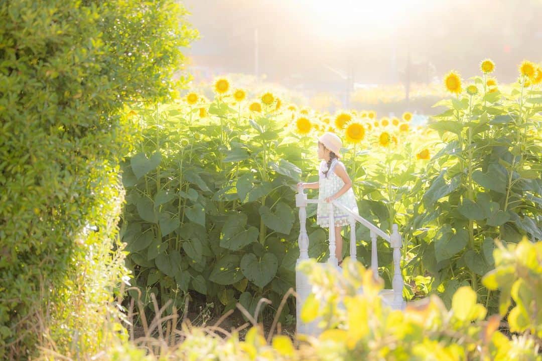 保坂さほさんのインスタグラム写真 - (保坂さほInstagram)「大好きな夏が終わってしまうー！  四季の中で夏が1番好きだから寂しいな  でもまだまだ暑そうだから出来る限り満喫しとこ♡  special thanks @photostudio_mou_masaki @photostudio_mou_takuro  ♡  ♡  ♡  #保坂さほ#ロケ#ロケーションフォト #ロケーション撮影 #キッズ撮影#ベビー撮影#ファミリーフォト#ファミリーフォト撮影 #東京ママ#東京キッズ#関東ママ#関東キッズ#ママフォトグラファー#ママカメラ#ママカメラマン#ママカメラ部 #東京フォトスタジオ#東京写真館#フォトスタジオ#写真館#ロケーション撮影会 #ロケ撮影会#埼玉ママ#ロケ撮影 #ロケハン#ロケーション撮影 #サンセット撮影#海フォト#サンセットフォト#海撮影」9月1日 20時49分 - saho_hosaka