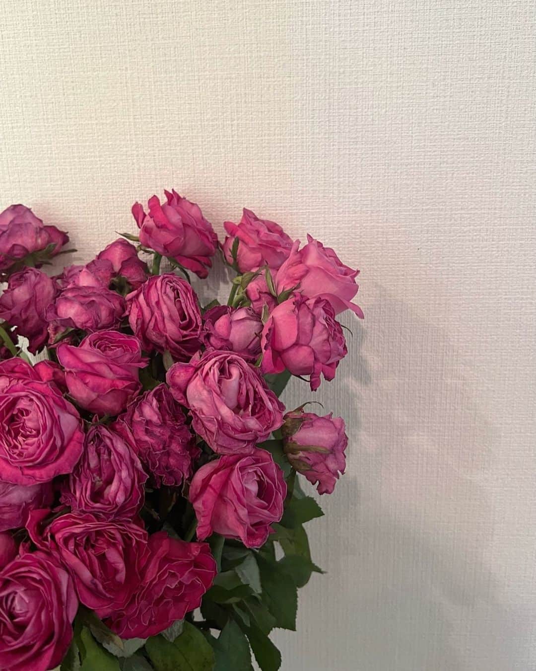 のインスタグラム：「年齢分の花束いただいて嬉しかった記録」