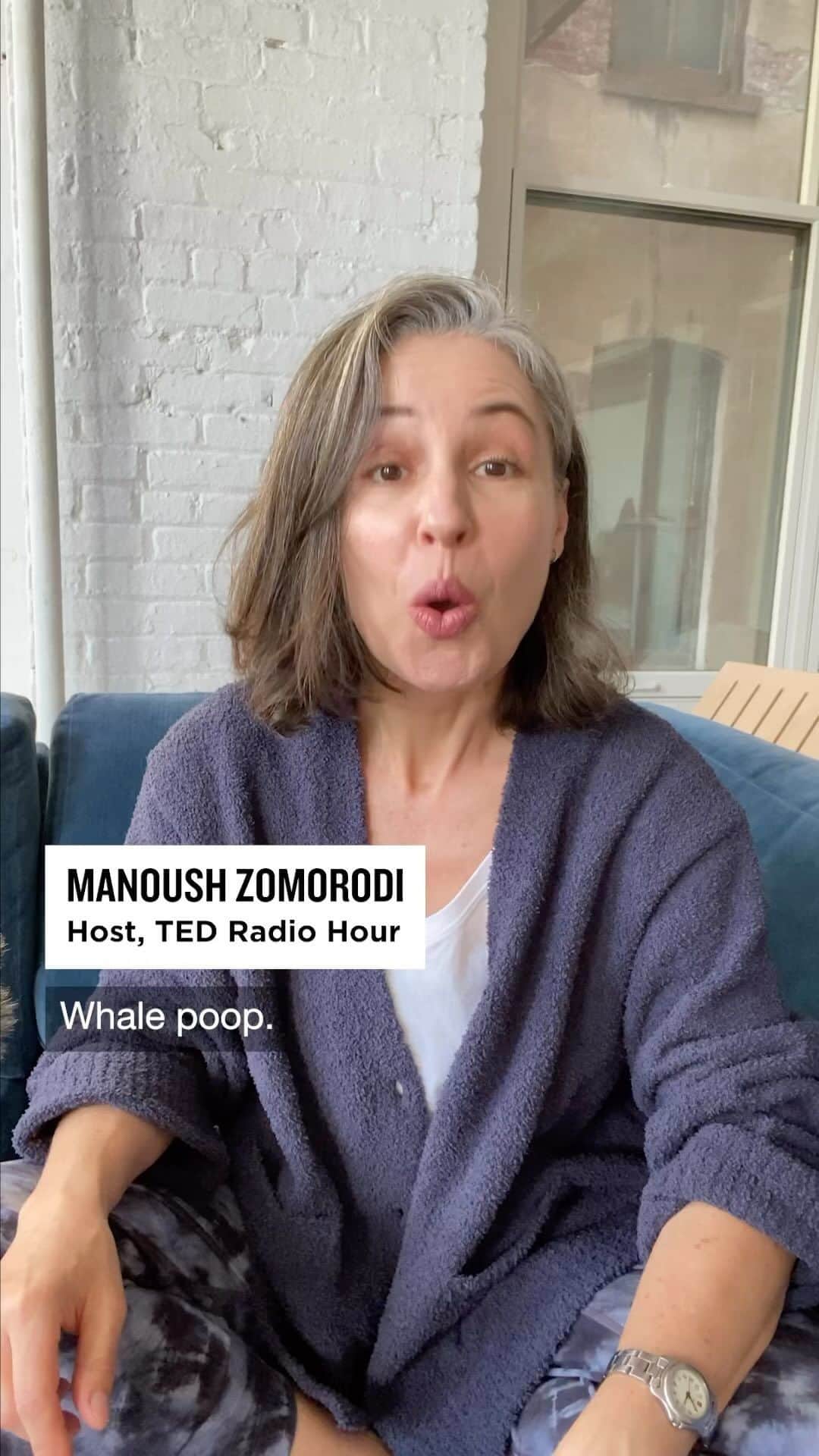 TED Talksのインスタグラム：「It’s time to talk about whale poop. Host: @manoushz • Manoush Zomorodi/NPR Producer: @catiedull • Catie Dull/NPR Special thanks @ashadevos #tedradiohour #weirdscience」