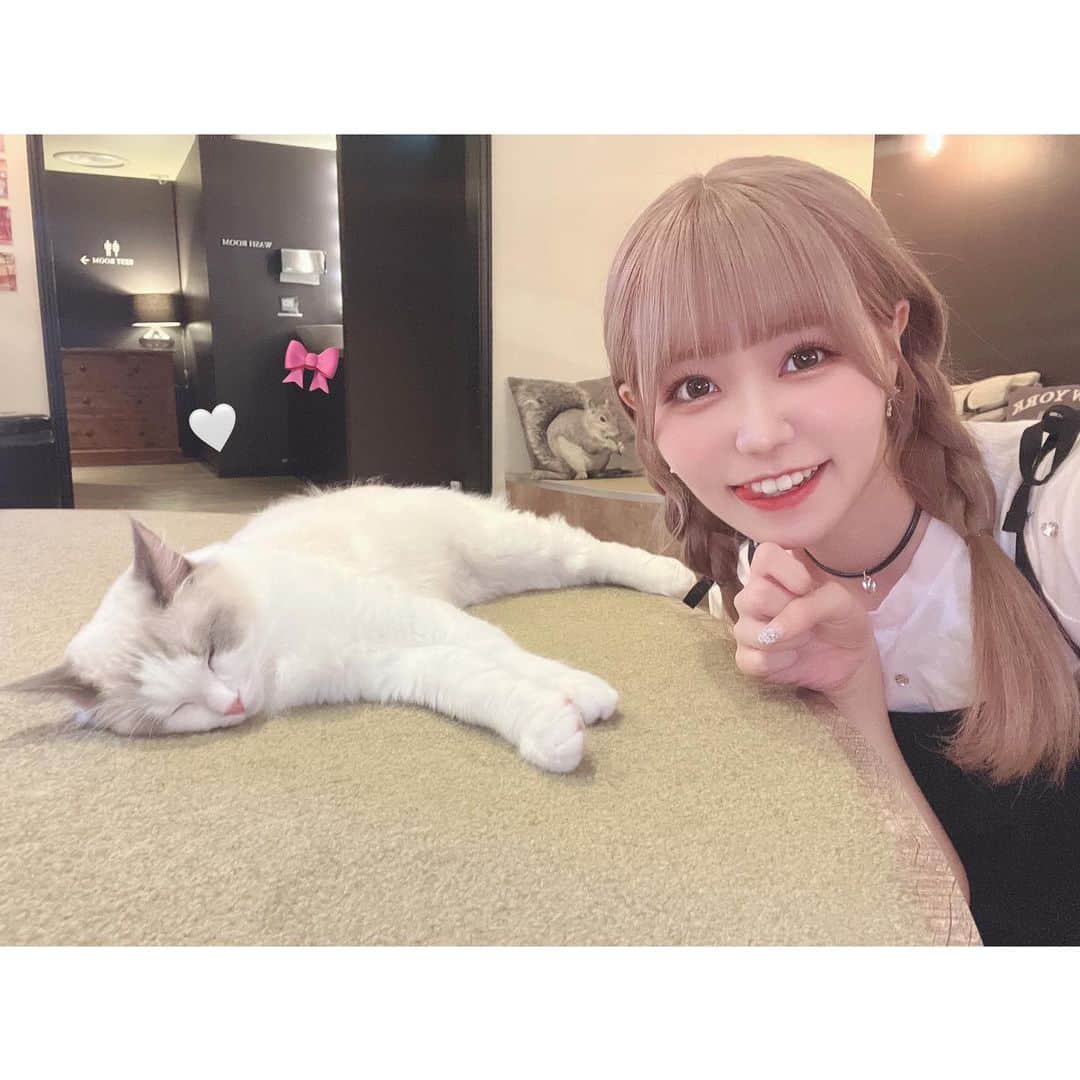 岩澤美潤のインスタグラム：「୨୧ 9月の目標はたくさん食べてたくさん寝て キラキラニートぷりんせすになる事です👑🎀 ・ ・ ・ ・ ・ #圧倒的天使  #猫カフェmocha」