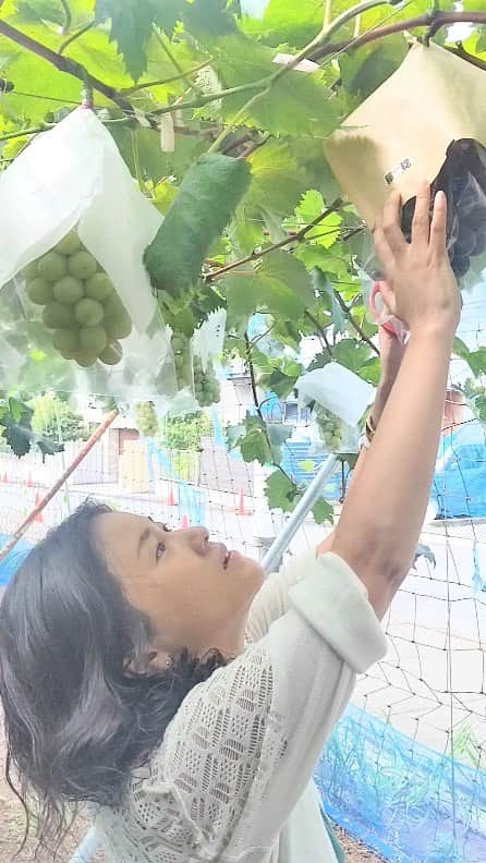 出光仁美のインスタグラム：「葡萄狩り🍇甘〜い🍇 #葡萄 #出光仁美」