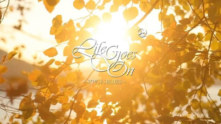 夏木マリのインスタグラム：「#fmyokohama847 #lifegoesonスワサントンBlues #Friday #84.7Mz #mari847  今夜も、 0：30からね〜  『 Life Goes On~スワサントンBLUES~ 』  ご一緒に秋を迎えましょ！」