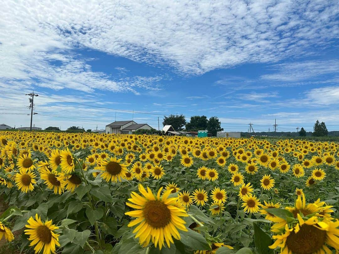 えりんこのインスタグラム：「今日も暑かったー💦  でも朝晩涼しくなって、 秋を感じますね🍁♡  夏休みに行った #ひまわり村　  #eri旅記録」