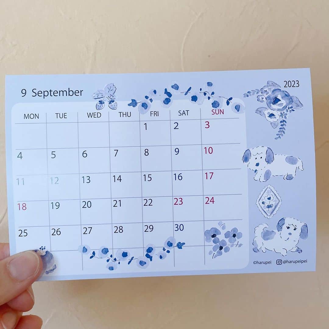 ハルペイさんのインスタグラム写真 - (ハルペイInstagram)「🙄 あらまあ、 9月じゃない！ カレンダー変えましょう🤭 1日忘れちゃった。 今年のカレンダーで気に入ってる9月だよ😆 . #もう9月 #カレンダー #calendar .  #harupei#ハルペイ#doodle#draw#drawing#illustrator#illustration#japan#絵#雑貨#湘南#イラスト#イラストレーター#ゆるい#茅ヶ崎」9月1日 22時12分 - harupeipei
