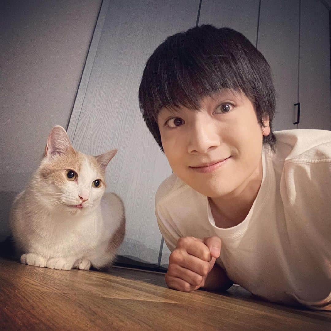 本田剛文のインスタグラム：「ブラザーたちです。 愛想は無いけど今日も元気です。  #猫 #猫好きさんと繋がりたい  #ねこすたぐらむ #猫のいる暮らし  #ボイメン #本田剛文」