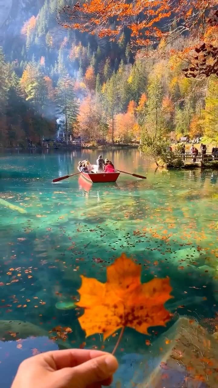 Wonderful Placesのインスタグラム：「Beautiful fall in Switzerland @sennarelax 😍🍁 Who’s ready for fall? Tag your friends!!! . 📹 ✨@sennarelax✨ 📍 Blausee - Switzerland 🇨🇭  #wonderful_places for a feature ♥️」