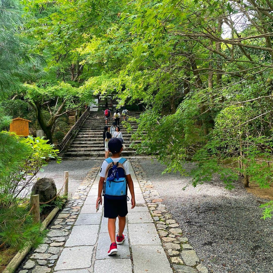 諸岡なほ子さんのインスタグラム写真 - (諸岡なほ子Instagram)「清水寺の後はぐっと北の方へ移動して、息子が見てみたいと言った金閣寺と龍安寺の石庭へ。  「これほんとに全部金でできてるの？」と聞かれましたが、いやいやいや、流石に金で作ってはいなくって、金箔を表面に使ってるのだよ、と伝えると、「え、じゃあ、金箔寺？」などと言っていました。しかし金箔とはいえ、この規模になるとすごい量&お値段なのでしょうねぇ…。 息子はそびえ立つ鳳凰が気になっていた様子。 続いて龍安寺へ。広い境内を歩いて石庭へ向かう内、並んで歩いていた息子が徐々に一人前を歩いたりするように。その背中、いいなぁ。自分から見たいものを見て、考えて、記録に残したりして。そんな息子の冒険を見ている母もまた、母と息子で旅するという未開の地をワクワクしながら冒険している感じでした。  #母と息子のふたり旅 #弾丸京都旅 #金閣寺 #金箔寺 #龍安寺 #石庭 #われただたるをしる #吾唯足知」9月1日 22時56分 - morookanahoko