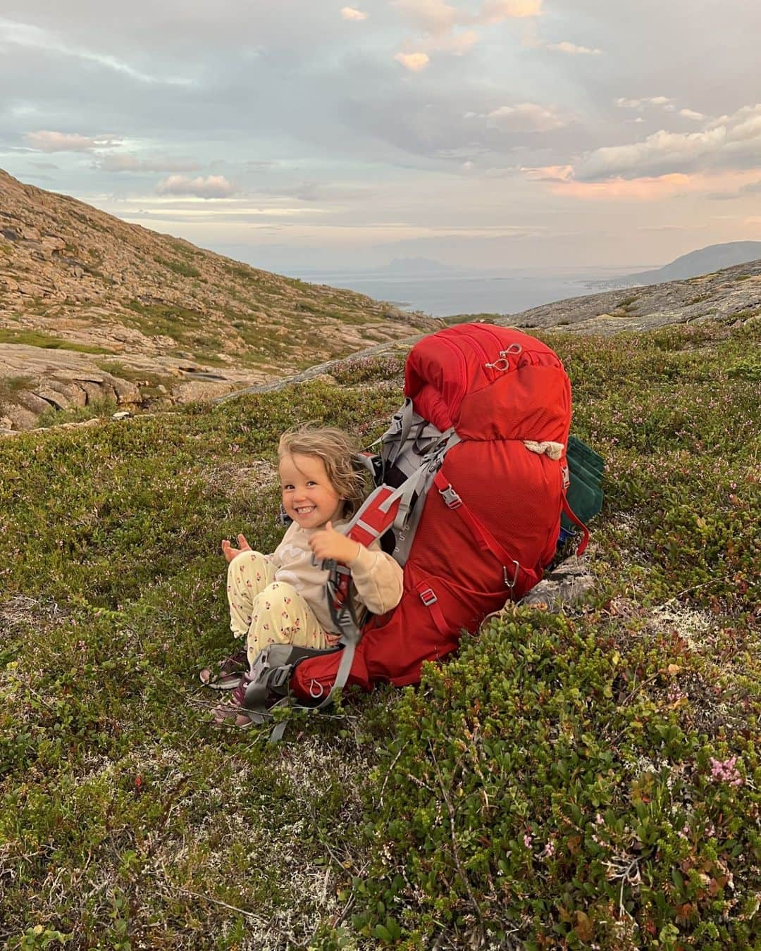 オスプレーのインスタグラム：「Dream big – your Osprey will be ready when they are 🤠  #OspreyPacks」