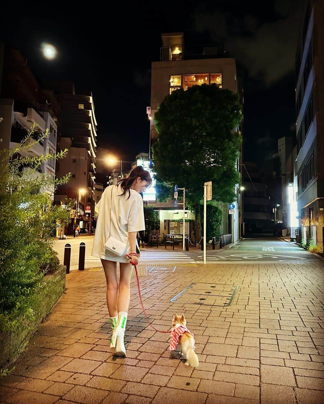堀尾実咲さんのインスタグラム写真 - (堀尾実咲Instagram)「HAPPY BIRTHDAY ロア🐰💕  我が家の姫、6歳になりました！👸✨  あいかわらず大好きなお散歩と日向ぼっことおやつを楽しみに毎日を過ごしています🐰  かわいいかわいいロア、 お誕生日おめでとう💕 だいすきよ☺️💕」9月1日 23時27分 - misaki.horio