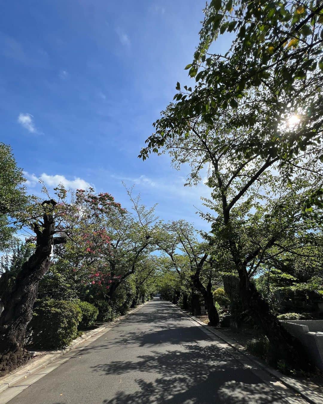 西野誠のインスタグラム
