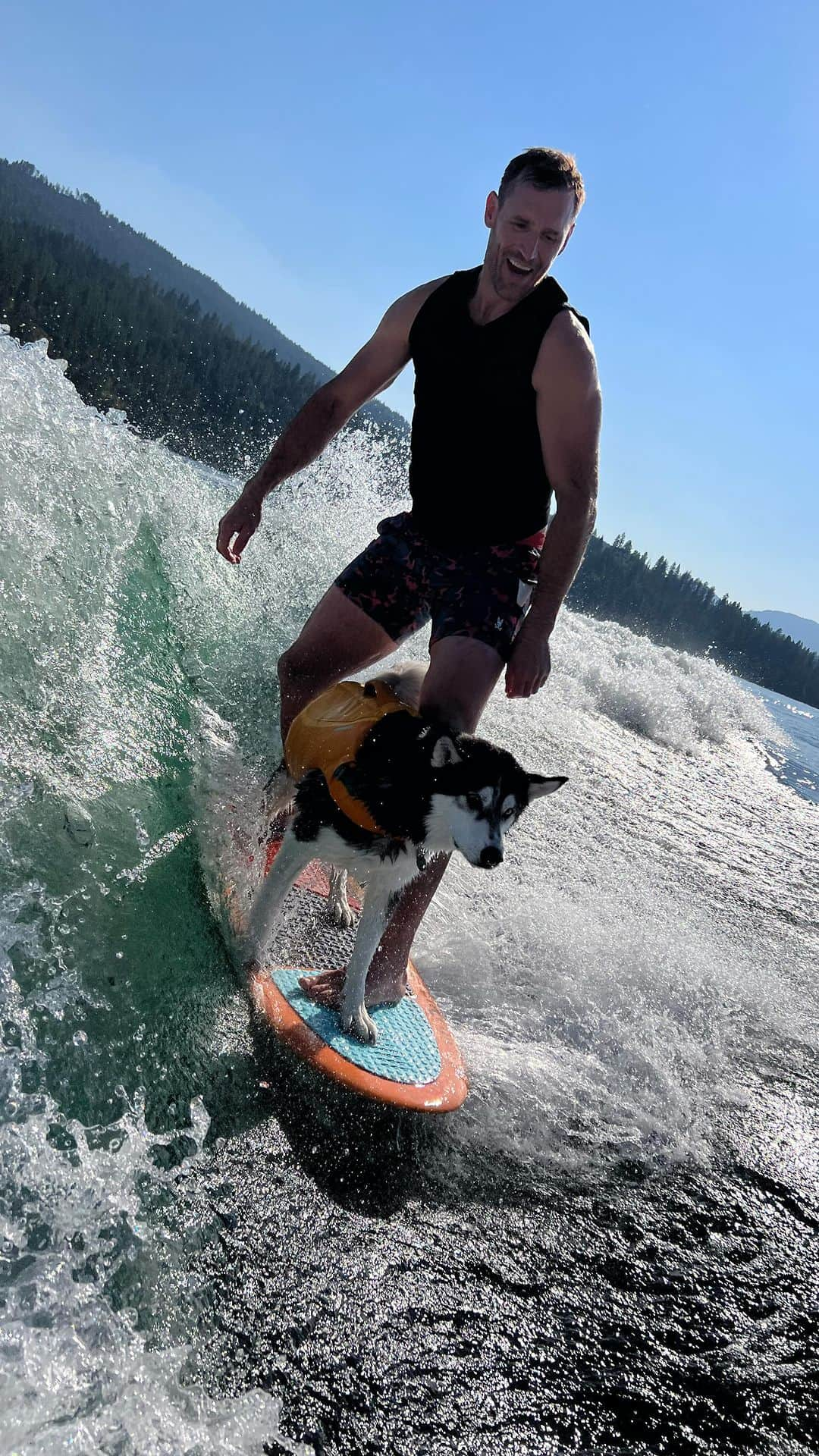 Katrin Tanja Davidsdottirのインスタグラム：「My furry son is a stud 🐾🥹🏄🏼‍♂️🌊   .. takes after his dad @brookslaich」