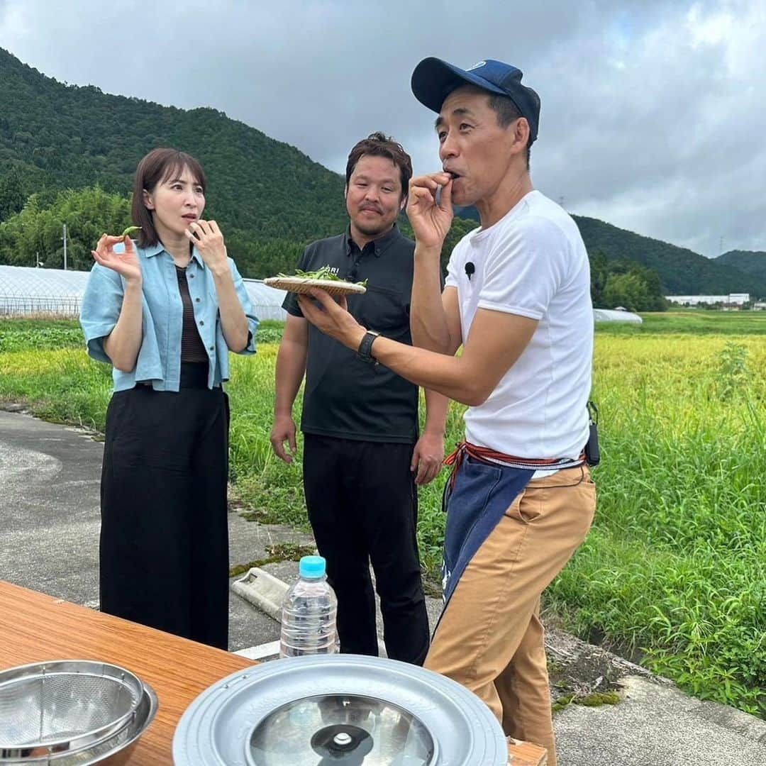 石田靖さんのインスタグラム写真 - (石田靖Instagram)「テレビ大阪⑦「発見❗️食遺産』 ゲストは初登場の真飛聖さん 真飛さんと朝来市&丹波篠山で 食遺産探し〜真飛さんのぶっ飛び テンション楽し😆 OAお楽しみに〜 #テレビ大阪 #発見食遺産 #朝来市グルメ #佳長ファーム #ちほみのり #矢名瀬町  #矢名瀬屋 #とよだのみたらしだんご  #丹波篠山グルメ  #まけきらい稲荷 #恋々芋 #デカンショ豆 #茶の里会館 #真飛聖 #石田靖 #一期一笑」9月2日 10時18分 - yasulog