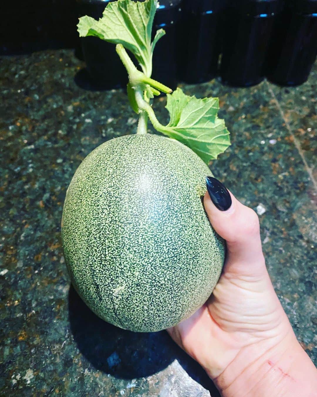 ジョディ・リン・オキーフのインスタグラム：「I know I don’t post often….but this seemed worthy. This cucumber was grown in our rooftop garden. Yes. I said cucumber. #rooftotabledining」