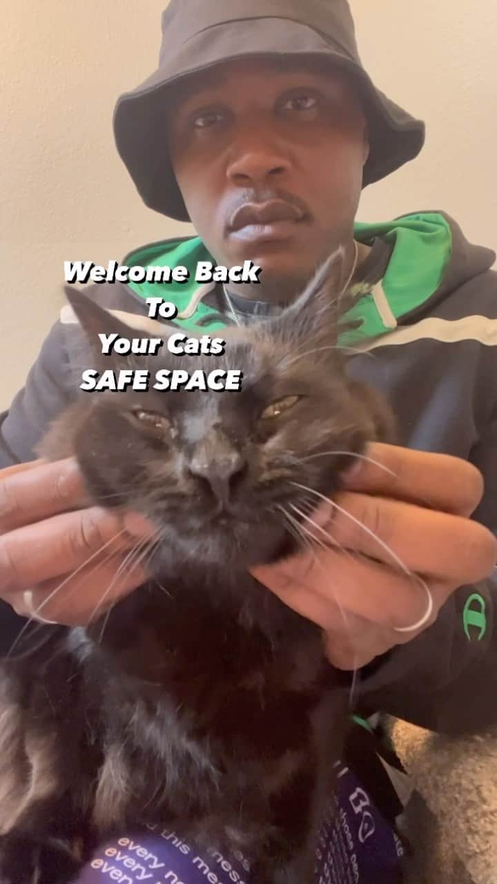 MSHO™(The Cat Rapper) のインスタグラム：「Welcome back to the SAFE SPACE!!! Sit back, relax and chill with your CATS!!! This is the SAFE SPACE!! If you don’t like cats or got a negative attitude get far away from our page right meow!!!! Where our cat people at!?!? COMMENT if you want MORE!!!! 😸🌎❤️ #ASMR #TheCatRapper #CatMan #CatDad #CatLady #CatMom #Zen #Meditation #Calm #MoGang」