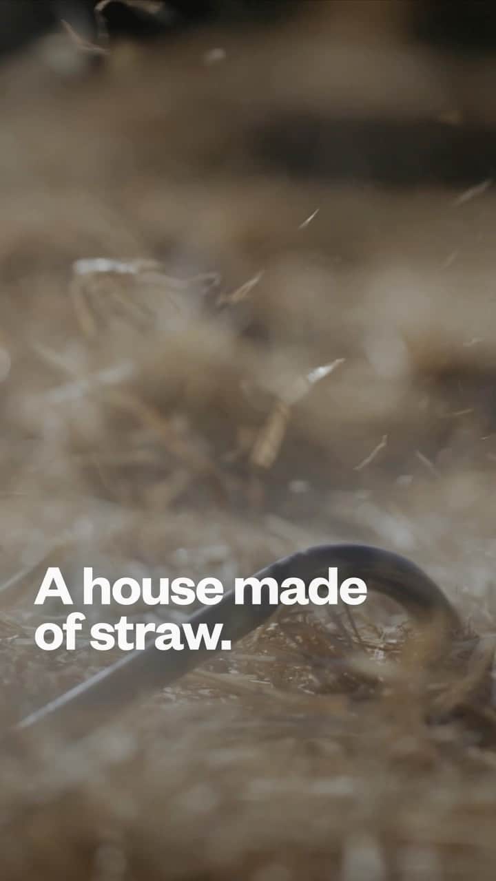 patagoniaのインスタグラム：「Would you live in a house made of straw?   Watch “Home, Grown” to follow climber and architect Dylan Johnson as he teams up with a hardworking crew to construct two houses using straw bales that would have otherwise gone to waste.  “Uses less material, more responsible, it makes a superior house. What’s wrong with that?” —Yvon Chouinard, former owner of Patagonia   Full film at the link in bio.  Directed by Forest Woodward (@forestwoodward) Filmed by Ben Sturgulewski (@sturgegram)」