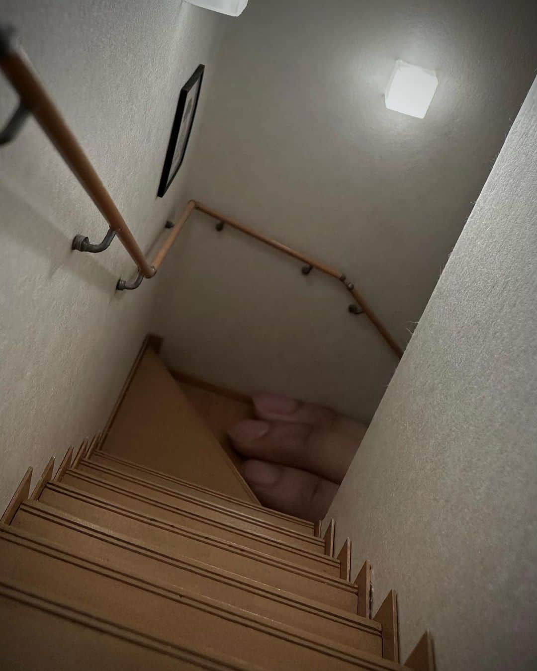 Mozuさんのインスタグラム写真 - (MozuInstagram)「うちの一階に　なにかがいる。」9月2日 10時59分 - mozu_world