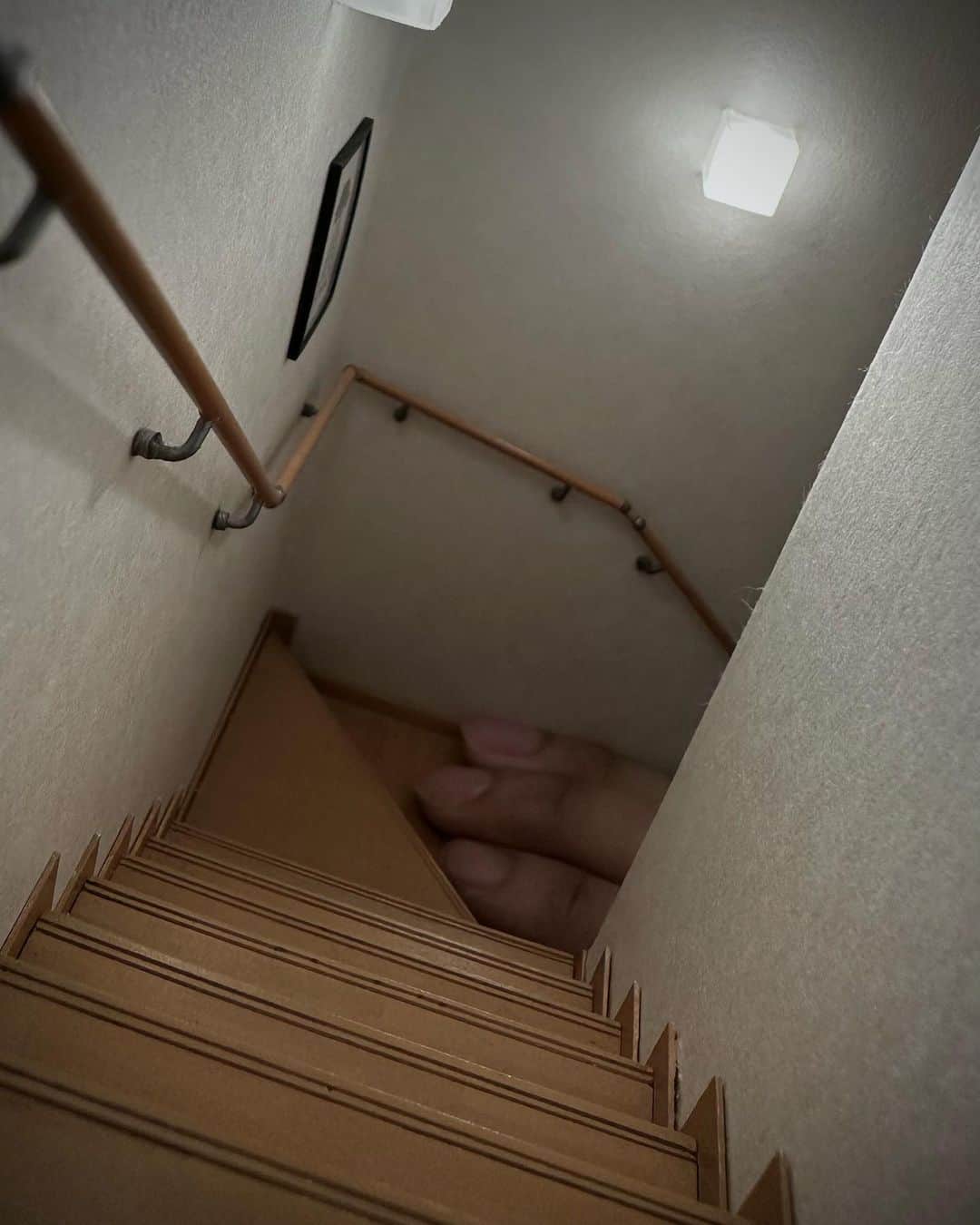 Mozuのインスタグラム：「うちの一階に　なにかがいる。」