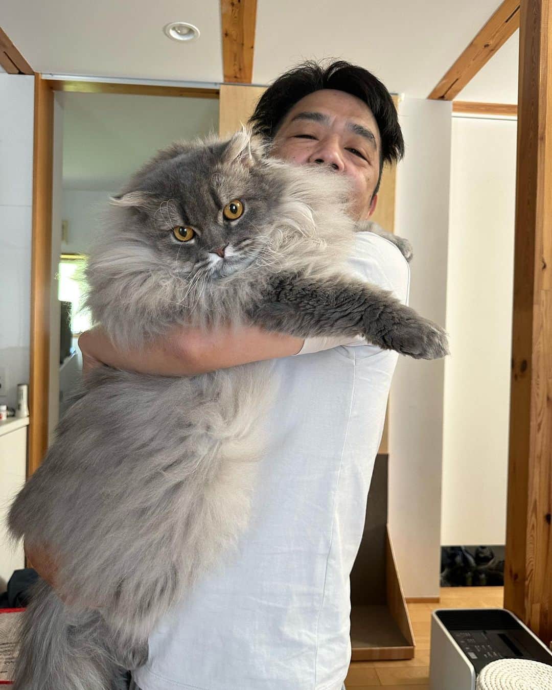 中川剛さんのインスタグラム写真 - (中川剛Instagram)「#ぽてと #重い猫」9月2日 10時52分 - nakagawake.tsu