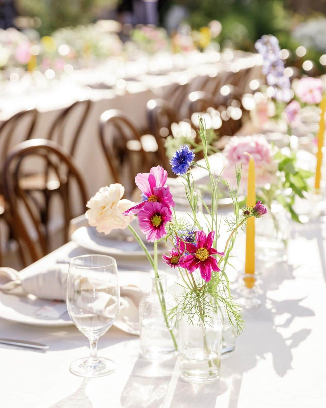 アリエル・ヴァンデンバーグさんのインスタグラム写真 - (アリエル・ヴァンデンバーグInstagram)「I’ve always dreamed of having an intimate, backyard wedding! And two of our best friends, graciously offered their home! We wanted our wedding to be simple and sweet! And that’s exactly how it was! Bright and delicate flowers sprinkled across the tables. It definitely helped that the entire backyard had white roses in full bloom! (Gods gift saved us thousands of dollars lol). We had a deliciously unique cake that tasted of tres leches and apricot 🤤 (hands down favorite cake I’ve ever had). I’ve always wanted pizza at my wedding, so we hauled a 500 lbs pizza oven into the backyard for fresh amazing pizza! (Should have ate more that night, that’s for sure. 😂) Everyone took home Cutie cookies painted like our favorite girl, Stinky! Love was in the air as the fairy lights above our heads twinkled in the night sky and we danced the night away! ✨  Photos: @christinamcneill  Video: @whiteinrevery  Coordinator: @carlyraeweddings  Dress: @chosenbykyha via @enblanc_la  Veil: @amsale  Glam: @afton  Suit: @paulsmithdesign  Catering: @madeinitalybistro  Florals: @floretfloral  Music: @rickyrocksdrums  Cake: @kellygraycakes  Cookies: @cubandcuppy  Rentals: @lapinataparty  Venue: @thejasonkennedy @thelaurenkennedy backyard 😍」9月2日 6時04分 - arielle