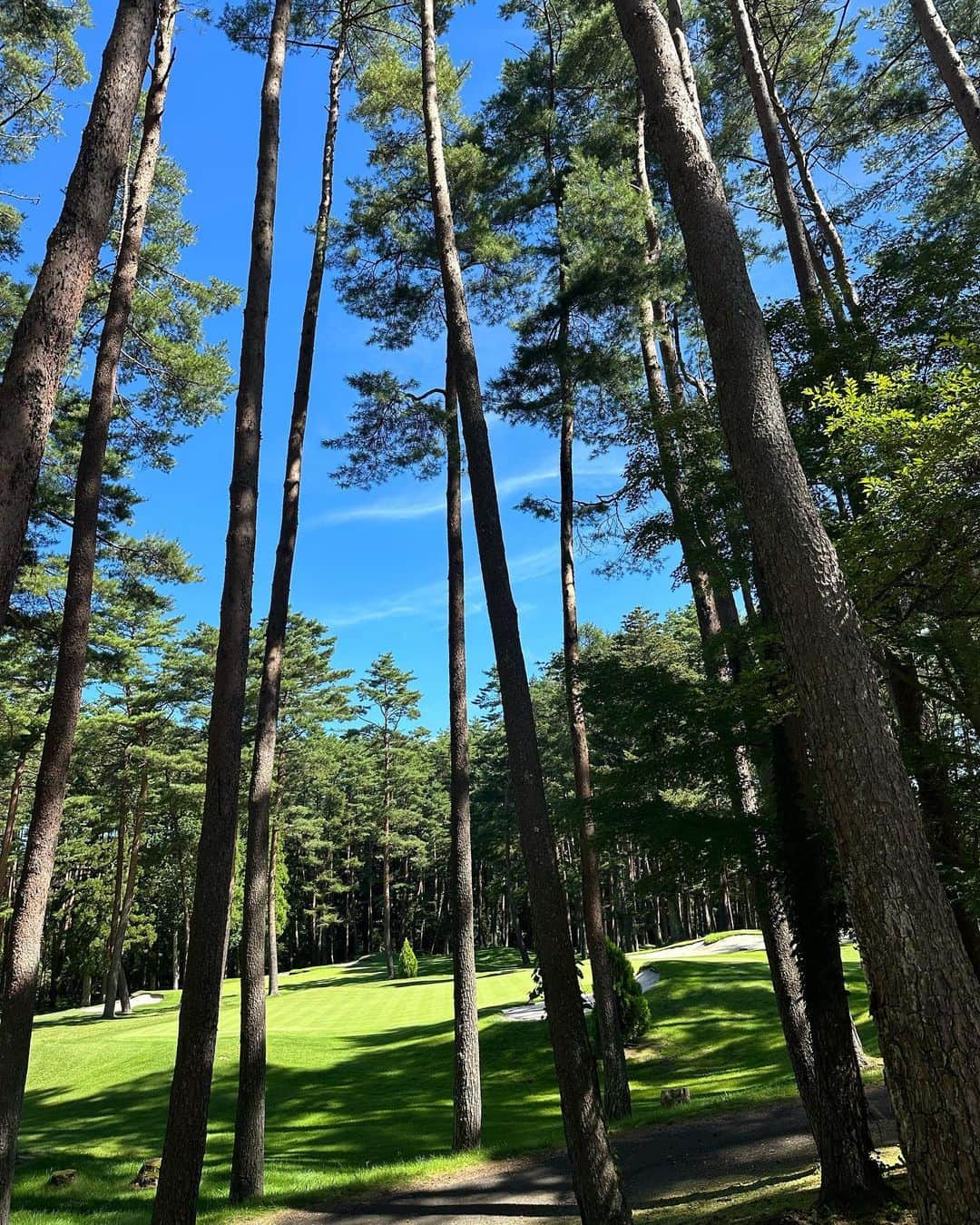 箕輪玖美さんのインスタグラム写真 - (箕輪玖美Instagram)「富士山〜🗻✨ ・ ・ まだまだ日中は暑すぎるので、河口湖へ避暑ゴルフ😃⛳️ ・ ・ お天気最高ー✨ 富士山も綺麗ー✨ でも日差しはジリジリで良い汗かいた😅💦 ・ ・ 暫く30度越えは続くみたいだけど、今夏の冷やし中華は食べ納めかな😌  #河口湖カントリークラブ #山梨県 #富士山 #河口湖 #避暑地 #ゴルフ女子 #ゴルフコーデ #rosasen #ロサーセン #ワンピースコーデ #アラフィフ女子 #箕輪玖美」9月2日 7時45分 - kumi.111