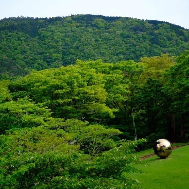 佐野史郎さんのインスタグラム写真 - (佐野史郎Instagram)「【開催予告 10/14- 】 佐野史郎写真展「瞬間と１日」 彫刻の森美術館2024年カレンダーのため、約1年かけて撮影した彫刻の森美術館と美ヶ原高原美術館の作品を中心に、これまでの佐野史郎の写真活動を巡ります。 会期 2023/10/14-2014/1/14  会場 丸太広場キトキ  〈10/14  トークショー〉13:30-14:30  対談：立川直樹 ご参加は公式サイトから、参加券（入館券付き）を事前にご購入ください。  #彫刻の森美術館いま #彫刻の森美術館 #佐野史郎  ----------------------- @sanovabitch」9月2日 8時43分 - sanovabitch