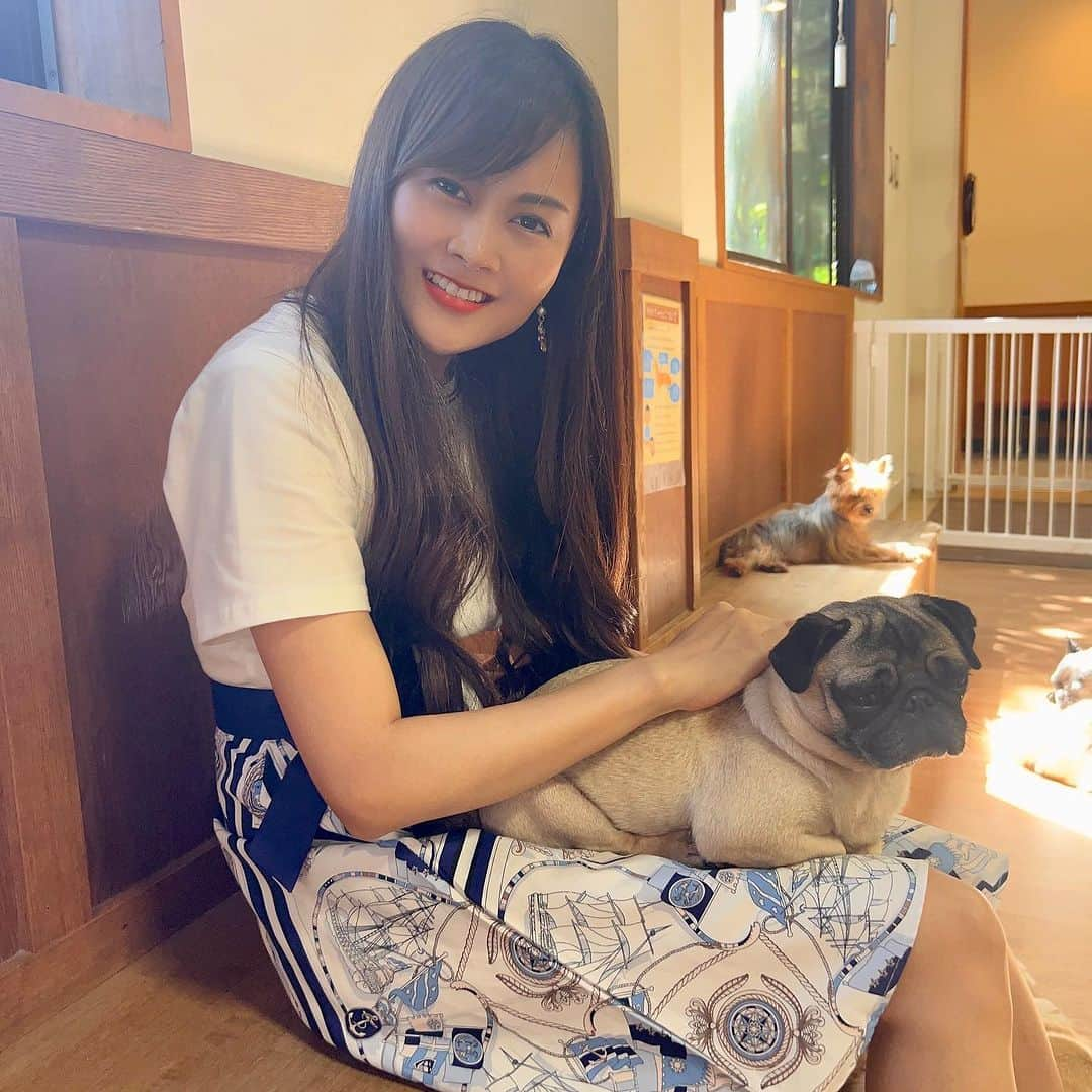 野本愛さんのインスタグラム写真 - (野本愛Instagram)「家族旅行で @fuji_safari 行ったよ🥰  動物が大好きだから ずっと見たかった リラックスしたカンガルー🦘見れたり カピバラ触れたり 可愛いわんちゃんも抱っこできて 本当に癒されたし 楽しかった🥰🥰🥰  服は @goinluck.jpの Tシャツワンピだよ😃  楽ちんだった❣️  🔍商品番号：DREHX6973SPS  🌟goinluckクーポンコード（20% off）：himemode　 　締め切り：９月２５日  🚚発送・返品・交換は全部無料！  💰最大0円で買えるキャンペーン開催中 　　https://www.goinluck.com/pages/vip-page  #富士サファリパーク #カンガルー #カピバラ #動物園 #静岡観光 #静岡旅行 #御殿場 #家族旅行 #旅遊  #goinluck #カジュアルコーデ #トレンド #夏コーデ #秋コーデ #旅コーデ #夏服 #秋服」9月2日 18時41分 - himemode