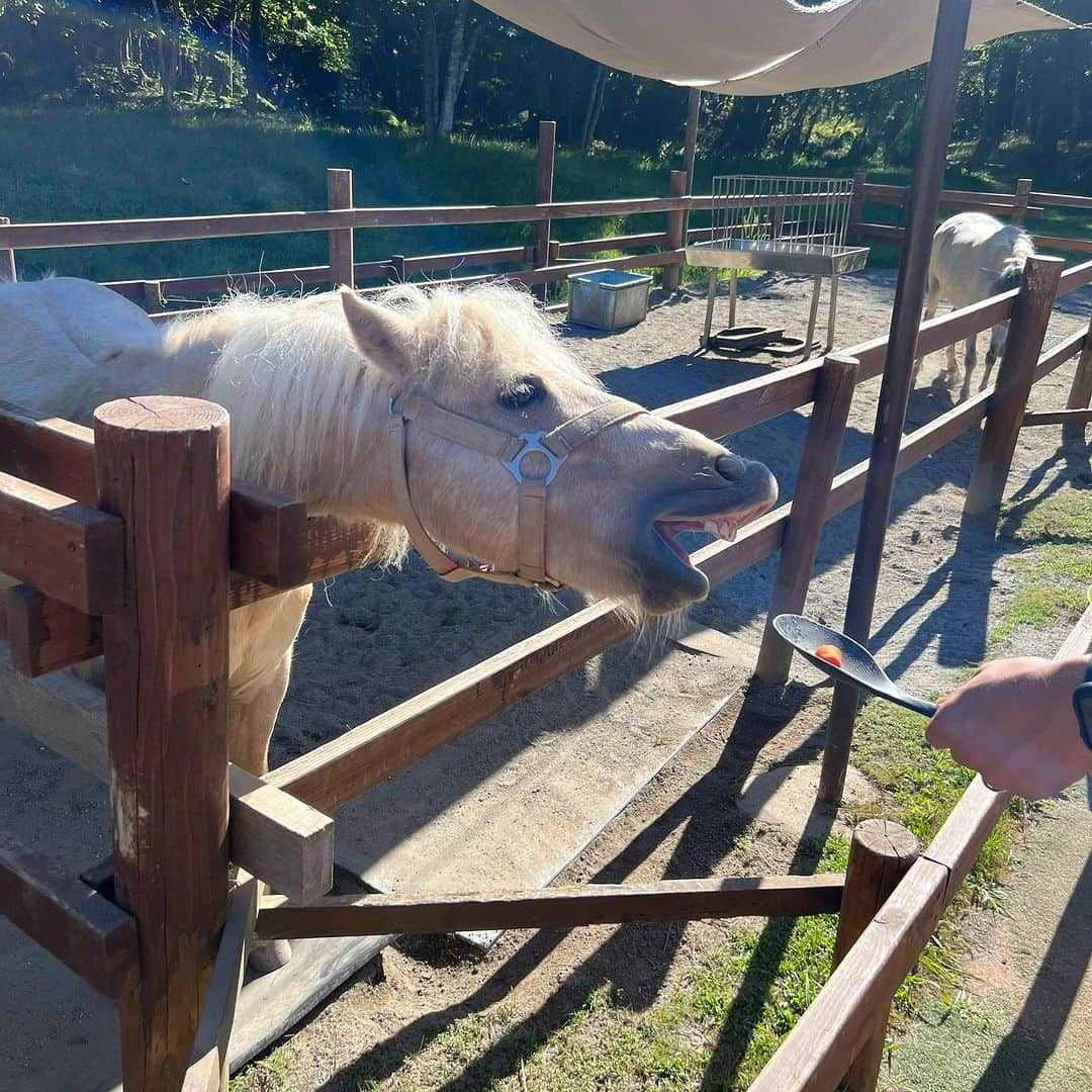 野本愛さんのインスタグラム写真 - (野本愛Instagram)「家族旅行で @fuji_safari 行ったよ🥰  動物が大好きだから ずっと見たかった リラックスしたカンガルー🦘見れたり カピバラ触れたり 可愛いわんちゃんも抱っこできて 本当に癒されたし 楽しかった🥰🥰🥰  服は @goinluck.jpの Tシャツワンピだよ😃  楽ちんだった❣️  🔍商品番号：DREHX6973SPS  🌟goinluckクーポンコード（20% off）：himemode　 　締め切り：９月２５日  🚚発送・返品・交換は全部無料！  💰最大0円で買えるキャンペーン開催中 　　https://www.goinluck.com/pages/vip-page  #富士サファリパーク #カンガルー #カピバラ #動物園 #静岡観光 #静岡旅行 #御殿場 #家族旅行 #旅遊  #goinluck #カジュアルコーデ #トレンド #夏コーデ #秋コーデ #旅コーデ #夏服 #秋服」9月2日 18時41分 - himemode