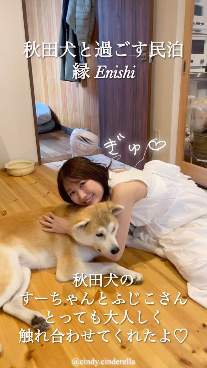 浦野一美のインスタグラム：「\\秋田犬とモフれあえる// 【秋田犬と暮らす民泊 縁-Enishi-】 @akitainu_kakunodate  忠犬ハチ公のイメージが強い秋田犬 頭が良くて飼い主一筋！ 他人には警戒心が強い習性があるらしいのですが..  ココでは、おっとり優しく触らせてくれる すーちゃんとふじこさんがお出迎え🐕✨️  お立寄りは当日でも ¥300で触れ合わせて貰えます.*·.⟡ 2匹の体調を考慮して もふもふタイムは約10分⏱  念願の秋田犬をギュッてさせてもらえた✧︎ 2匹とも可愛すぎて幸せタイムでした~🥹🤍  ⋆┈┈┈┈┈┈┈┈┈┈┈┈┈┈┈⋆ #maternity #妊娠 #妊婦ファッション #妊婦コーデ #妊娠中 #妊娠後期 #プレママ #初マタ #初マタニティ #高齢出産 #高齢出産で初産 #高齢妊婦 #マタニティライフ #女の子ママ#maternityCinDy #秋田 #秋田旅行 #ベイビームーン #マタ旅 #マタニティ旅行 #プレママ旅 #角館町#仙北市#秋田犬 #秋田県 #akita #akitainu #角館 #akitadog #travel」