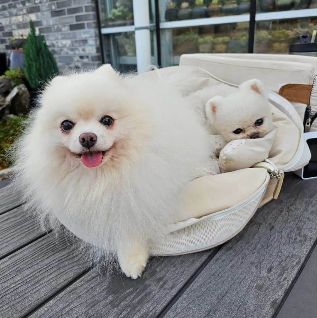 thesoy_yoonsoのインスタグラム